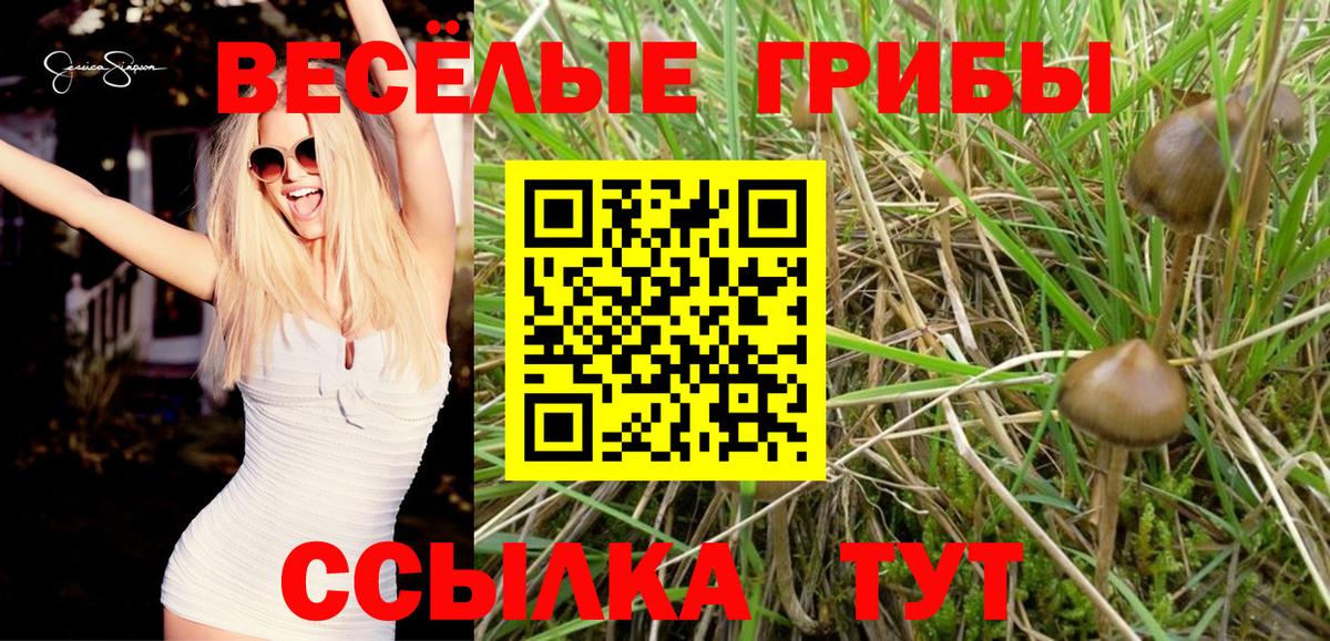 Псилоцибиновые грибы MAGIC MUSHROOMS Валуйки
